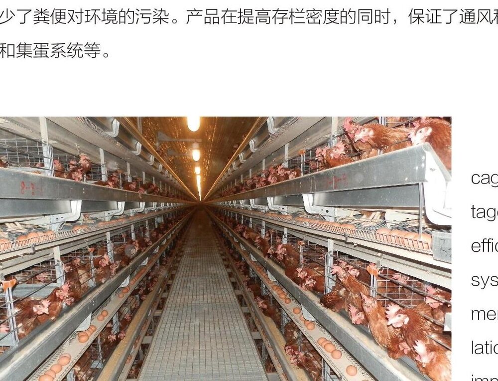 Poultry Farming Equipment