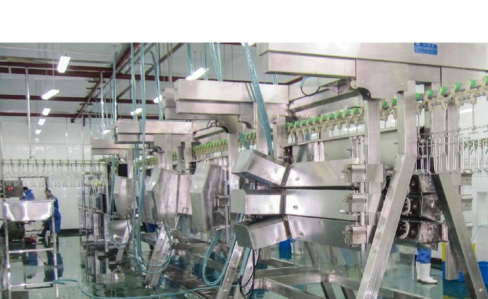 Slaughtering & Refrigeration
